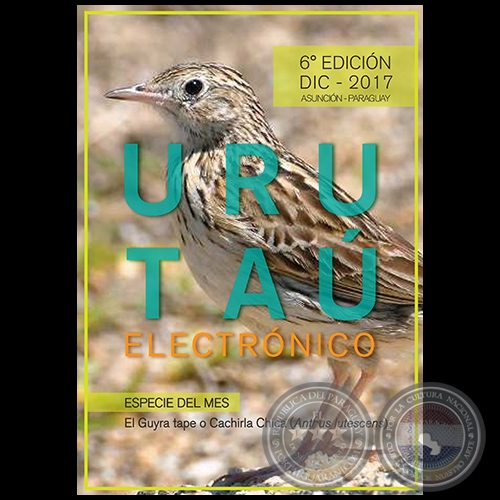 URUTAÚ ELECTRÓNICO - 6° EDICIÓN - AÑO 15 - DICIEMBRE 2017